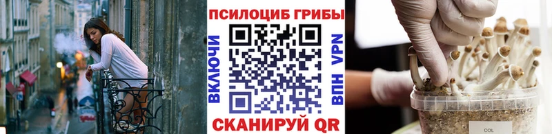 Галлюциногенные грибы мицелий  Партизанск 